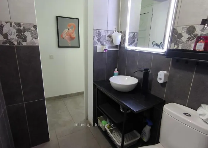 Flamingo With Terrace And Private Bath By Flamingo House Διαμέρισμα Arrecife (Lanzarote)