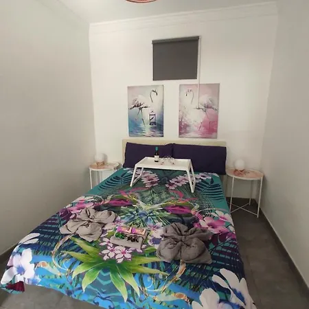 公寓 Flamingo With Terrace And Private Bath By Flamingo House 阿雷西费
