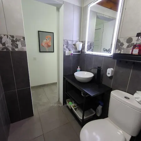 Flamingo With Terrace And Private Bath By Flamingo House 公寓 阿雷西费