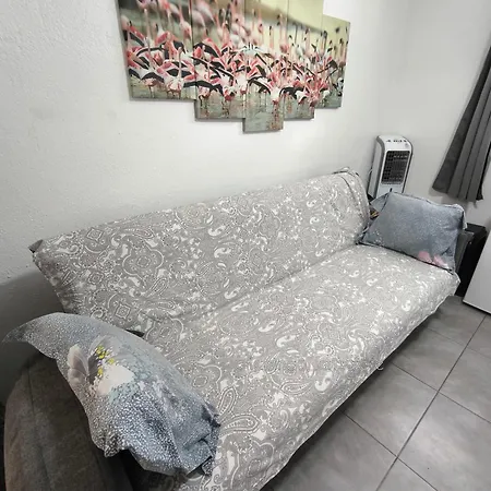 Flamingo With Terrace And Private Bath By Flamingo House 阿雷西费