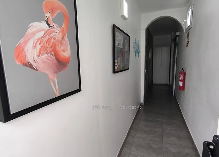 Daire Flamingo With Terrace And Private Bath By Flamingo House *